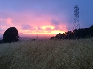 Sunset in El Cerrito, taken from a field in the El Cerrito open space.  Just, wow.